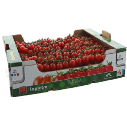 TOMATE CERISE CILIEGINO 3KG